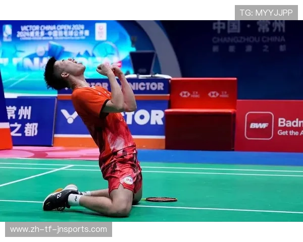 羽毛球决赛男单